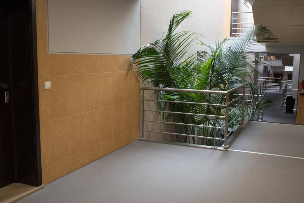 Bay Residence Apartamento - Piscina เซามาร์ทินโญโดปอร์โต ภายนอก รูปภาพ